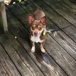 Albert Culver - @albertculver - Instagram