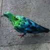 Alberto Damiani - @alberto.damiani2 - TikTok