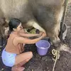 Daysi Alberto - @daysi.alberto7 - TikTok