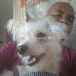 Alberto de Andrade Albino - @albertodeandradealbino - Instagram