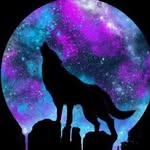 Alberto Delaney - @alpha.wolf.berto - Instagram