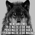 Alberto Deleon - Facebook