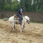 Alberto Denti - @alberto.denti66 - Instagram