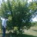 Alberto Dik - Facebook