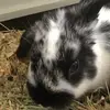 albertorubiodoce - @albertorubiodoce - TikTok