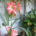 Alberto Donda - Facebook