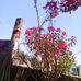 Alberto Dukee - Facebook