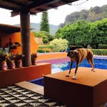 Alberto Ennis - @ennis.alberto - Instagram