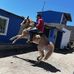 Alberto Gamboa - Facebook