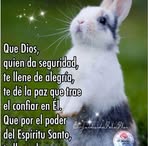 Alberto Gemin - Facebook