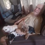 Alberto Gentile Filho - @albertogentilefilho - Instagram