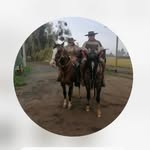 ᴀʟʙᴇʀᴛᴏ ʟᴇɪᴠᴀ ᴍᴇɴᴇꜱᴇꜱ🐴 - @alberto_leiva2010 - Instagram