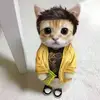 Alberto Llanas - @ll4n45 - TikTok