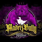 Alberto Madrid - @alberto_madrizbullyteam - Instagram
