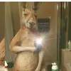 Alberto Madrid - @alberto.madrid37 - TikTok