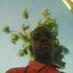 Alberto Major Mendes - @mendesalbertomajor - Instagram
