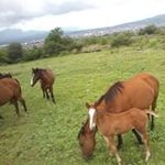 Alberto Malagon - @betomalagon5 - Instagram