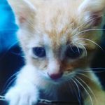 alberto malagon - @albertomalagon7005 - Instagram