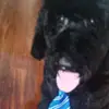 Alberto Marron - @alberto.marron0 - TikTok