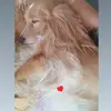 Alberto Marulanda - @alberto.marulanda1 - TikTok