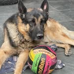 Alberto Matus - @albertomatus475 - Instagram