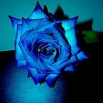 Beto May - @albertomay5373 - Instagram