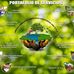 Carlos Alberto Acosta Mayorga - Facebook
