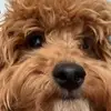 Alberto_mazonn - @alberto_mazonn - TikTok
