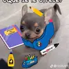 Alberto Mijares - @alberto.mijares1 - TikTok
