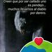 Alberto Millan - Facebook