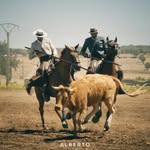 Alberto Moreno Garcia - @a.moreno.garcia - Instagram