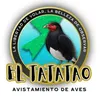 Alberto Parente - @alberto.parente7 - TikTok