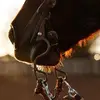 Alberto Ponce - @alberto.ponce491 - TikTok