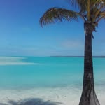 Alberto Pugliese - @alberto.pugliese234 - Instagram