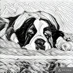 Alberto Pugliese - @alospu67 - Instagram