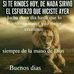 Alberto Quezada - Facebook