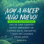 Reyna Alberto - @albertoreyna - Instagram