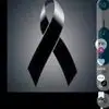 Alberto Rocha - @alberto.rocha082 - TikTok