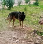 Alberto Romo - Facebook