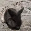 Alberto Salgado - @albertosalgado3555 - TikTok