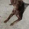 Alberto Tabares - @alberto.tabares1 - TikTok