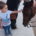 Alberto Tello cabañas - @albertotello.cabanas - Instagram