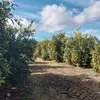 albertotoribio839 - @alberto.toribio153 - TikTok