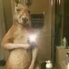 AlbertoToribio86 - @albertotoribio86 - TikTok