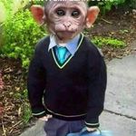 Alberto Vitale - @bahomorrison4 - Instagram