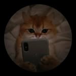 Alberto Zarate - @alberto_221207 - Instagram