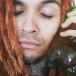Alberto Zarate - @realbertthebear - Instagram