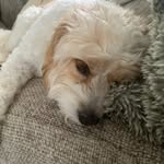 Albie Phillips - @albie_phillips - Instagram