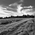 Jonathan Alden-Phillips - @ja.photographs - Instagram