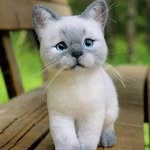 Aldo Francisco Abarca Vera - @aldoabarca58 - Instagram